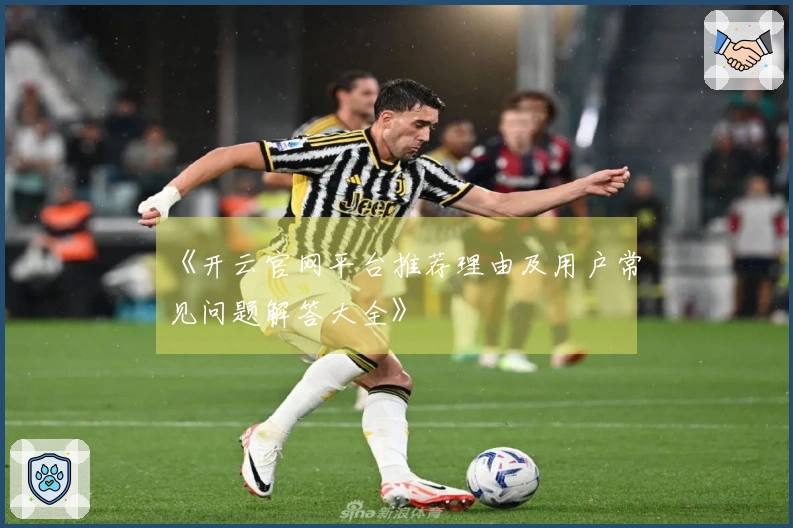 《开云官网平台推荐理由及用户常见问题解答大全》