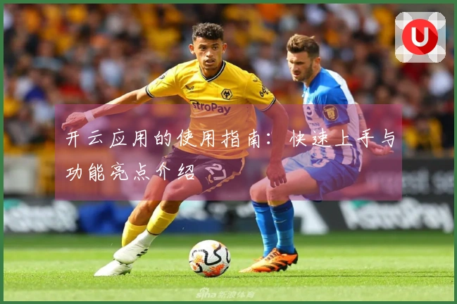 开云应用的使用指南：快速上手与功能亮点介绍