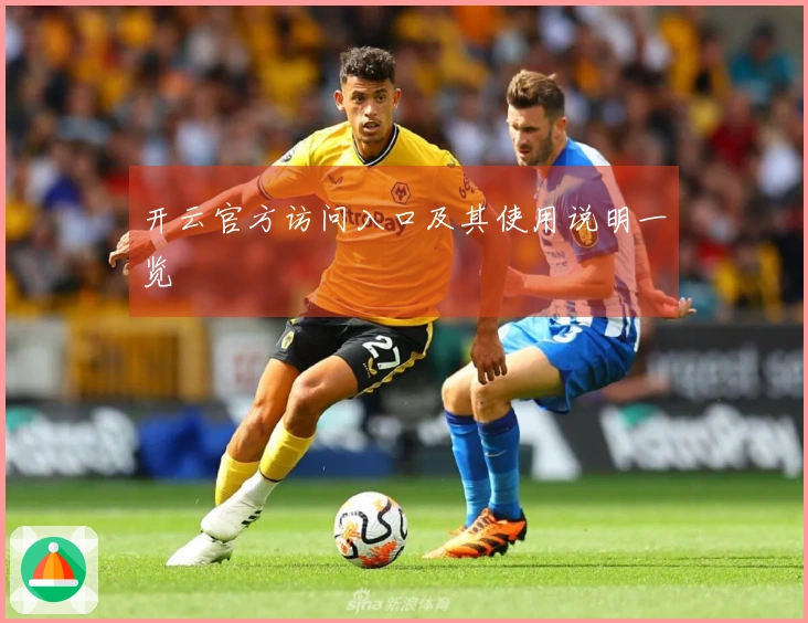 开云官方访问入口及其使用说明一览