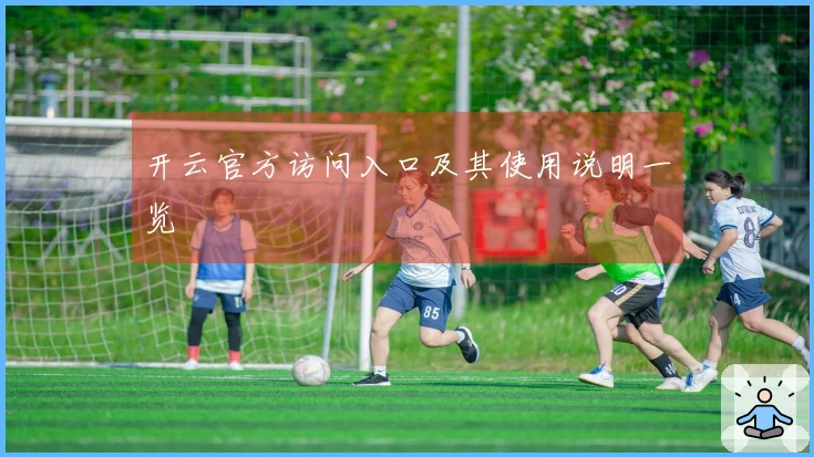 开云官方访问入口及其使用说明一览